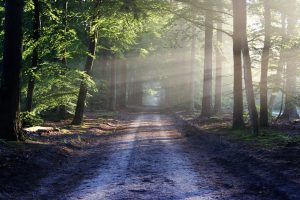 Light key protocol for healing abuse and trauma (Self—Help)— Russian Translation