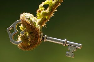 Certification for Light Key Freedom Protocol Practitioner