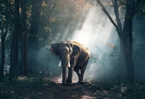 Dealing with Difficult People and Circumstances